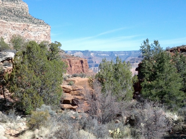 IMG_20130314_100111.jpg